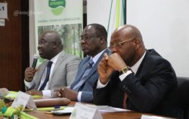 Côte d’Ivoire / Caoutchouc naturel: La campagne 2019 lancée sous de bons auspices