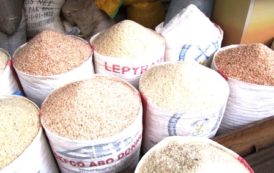 Cameroun: 310 milliards pour importer le riz et le poisson
