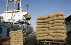 Côte d’Ivoire : le port de San Pedro au vert selon Bloomfield