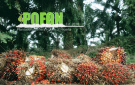 POFON Berates OLAM Over Palm Oil Importation Proposal