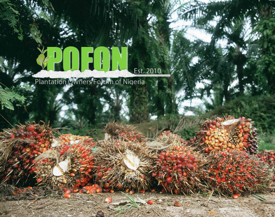 POFON Berates OLAM Over Palm Oil Importation Proposal