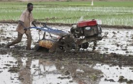 La Côte d’Ivoire et la FAO font le point des dépenses publiques dédiées au secteur agricole