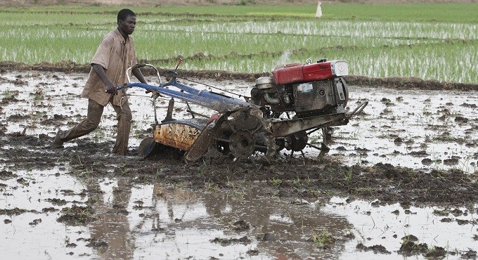 La Côte d’Ivoire et la FAO font le point des dépenses publiques dédiées au secteur agricole