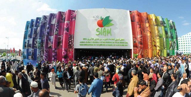 Maroc : le salon international de l’agriculture s’ouvre le 16 avril prochain