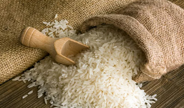 L’Afrique dépense 7 milliards de dollars par an pour ses importations de riz