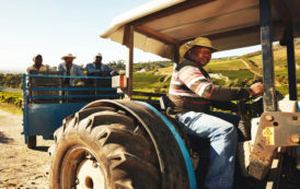 Les écarts dans les technologies agricoles entravent la croissance