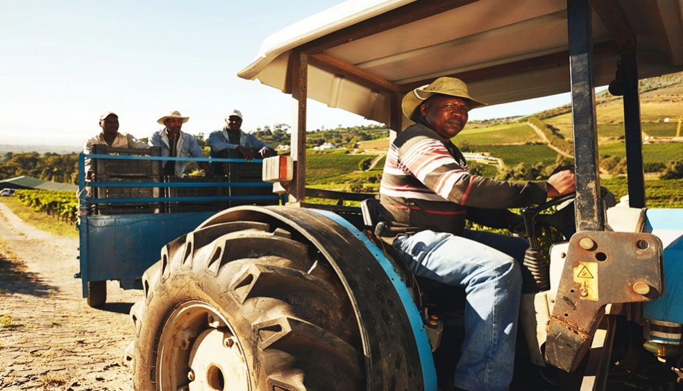 Les écarts dans les technologies agricoles entravent la croissance