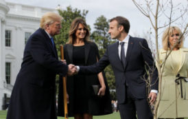 L’arbre de Macron et Trump pourrait attendre jusqu’à 2 ans avant d’être replanté à la Maison Blanche