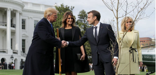 L’arbre de Macron et Trump pourrait attendre jusqu’à 2 ans avant d’être replanté à la Maison Blanche