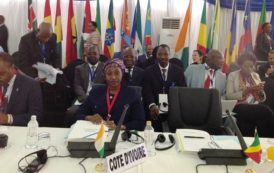 Comité régional de l’OMS pour l’Afrique : la Cote d’Ivoire élue vice-présidente de la 67e Session au Zimbabwé