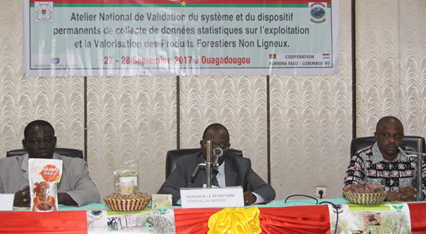 Burkina / PRODUITS FORESTIERS NON LIGNEUX : Les 9 filières prioritaires apportent 271,85 milliards de F CFA à l’économie Burkinabè