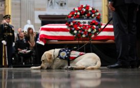 Le dernier adieu de Sully le labrador à George H. W. Bush [Photos]