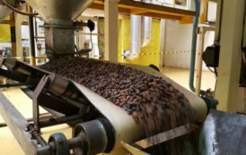 La Côte d’Ivoire pourrait transformer 1 million de tonnes de cacao d’ici 2022