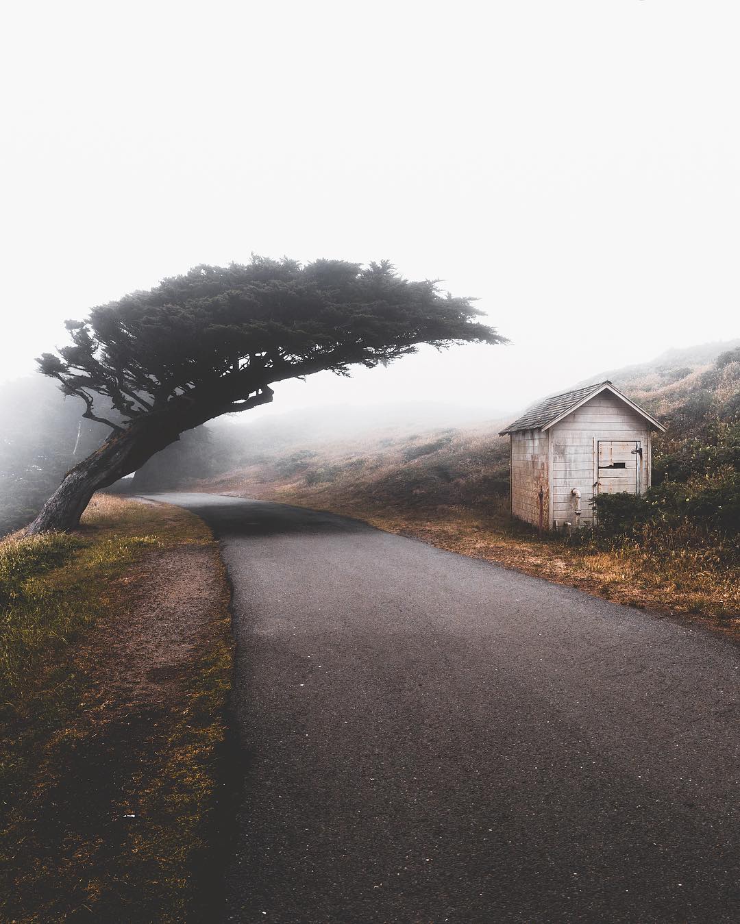 Des photos merveilleuses de la nature par Zachary Edward Martgan