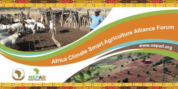 Une semaine pour le troisième forum de l’Alliance africaine pour une agriculture intelligente face au climat (CSA)