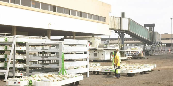 Cameroun – Transports. La fermeture de l’aéroport de Douala est un mensonge (officiel)