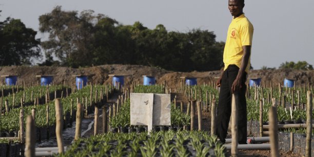 Sierra Leone : approbation d’une ligne de crédit de 224 millions de dollars par le FMI