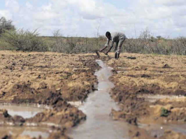 Les pays africains doivent miser sur la diversité agricole