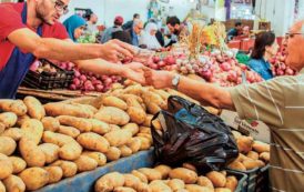 La hausse de la production agricole rapproche l’Algérie de la sécurité alimentaire