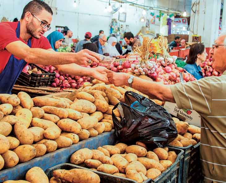 La hausse de la production agricole rapproche l’Algérie de la sécurité alimentaire