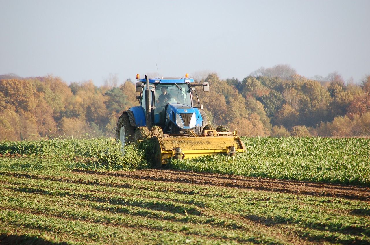 L’agriculture biologique a de meilleures performances économiques que la conventionnelle