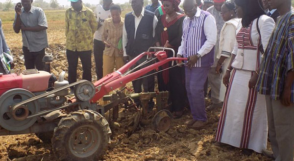 Campagne agricole sèche 2017-2018 au Burkina: Plus de 50.700 tonnes de céréales attendues