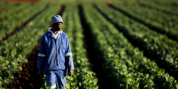 Togo : la BAD investira 25 milliards de Fcfa dans le secteur agricole