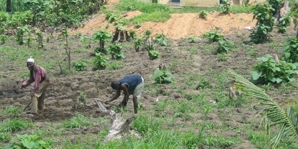 Togo : l’économie renouera avec la croissance dès cette année