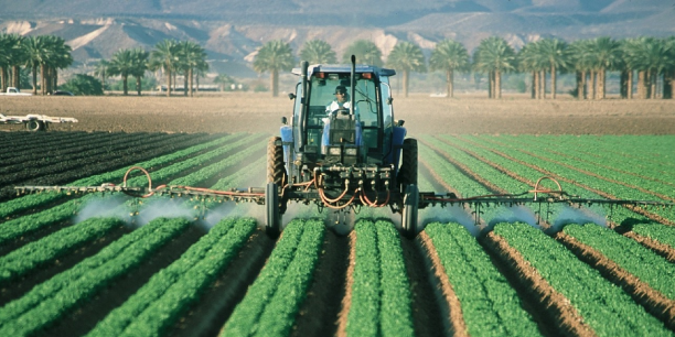 « Agripreneur à Zéro Franc », le nouveau concept de la BAD pour l’entrepreneuriat