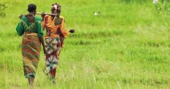 $ 15 millions de la Banque mondiale pour la productivité agricole au Togo, Niger et Bénin