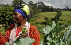 AgriPME transforme le téléphone des agriculteurs en porte-monnaie électronique