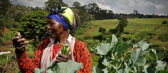 AgriPME transforme le téléphone des agriculteurs en porte-monnaie électronique