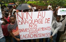 Lettre ouverte au Président Ouattara : « Libérez Mme Koffi et décrispez l’atmosphère ! »