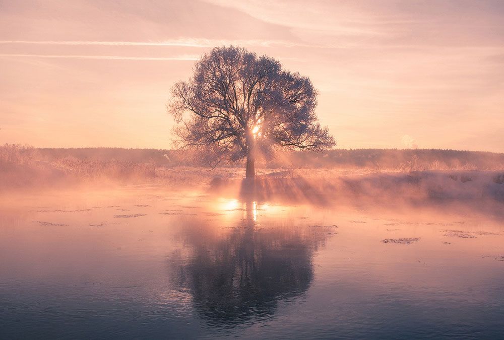 La campagne gelée de la Biélorussie photographiée par Alex Ugalnikov