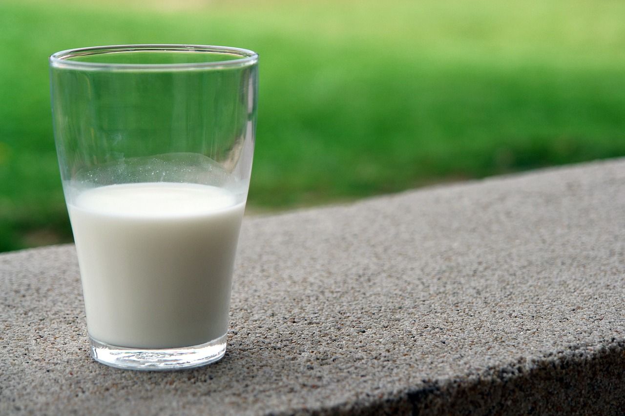 5 Les alternatives saines aux produits laitiers