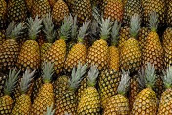 Restriction à l’exportation des ananas au Bénin, les LMR en question