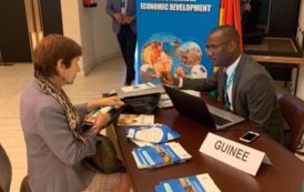 Guinée : timide progression dans le Doing Business