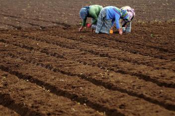 L’assurance agricole indicielle en ordre de bataille en Côte d’Ivoire