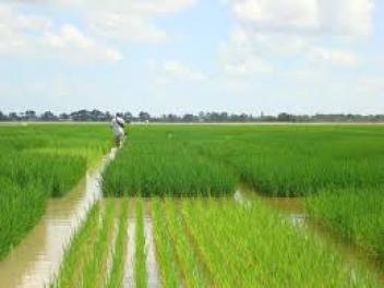 La BEI et la BAD allouent FCFA 20 milliards à la Compagnie agricole de Saint-Louis