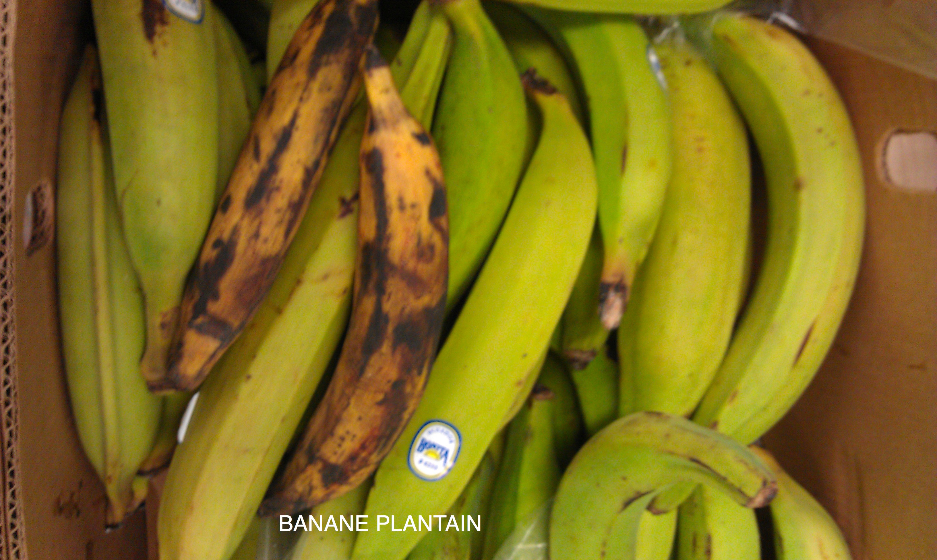 Des bouleversements sur le marché mondial de la banane