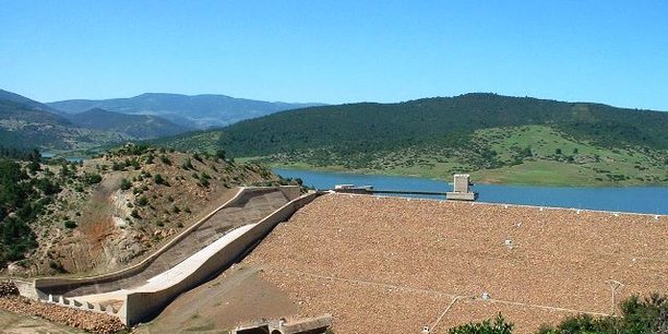 Algérie : la diversification des ressources en eau permettra de sécuriser l’agriculture