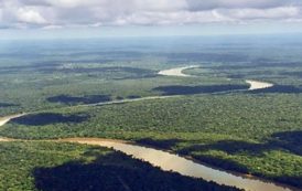 Fonds bleu pour le Bassin du Congo : 12 pays africains engagés