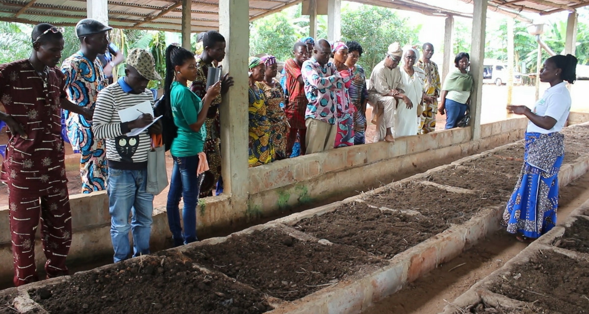 Bénin : Après s’être tournés vers le bio, le revenu des agriculteurs augmente