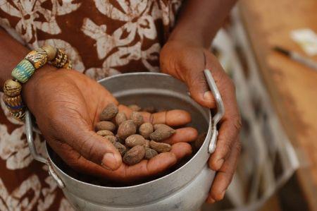 Le Burkina Faso lance le projet d’appui au développement intégré de la filière karité