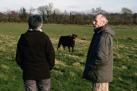 Vers une agriculture bio « à deux vitesses »