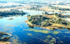 Botswana: un consortium italien va construire un pont dans le Delta de l’Okavango pour 95 millions $