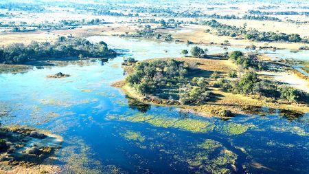 Botswana: un consortium italien va construire un pont dans le Delta de l’Okavango pour 95 millions $