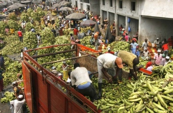 Côte d’Ivoire : Grand ménage  à  Yopougon, le site du futur grand marché rendu propre