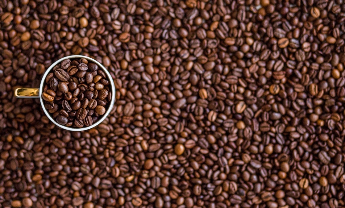Pour vendre leur café au juste prix, les Colombiens veulent s’affranchir des Etats-Unis