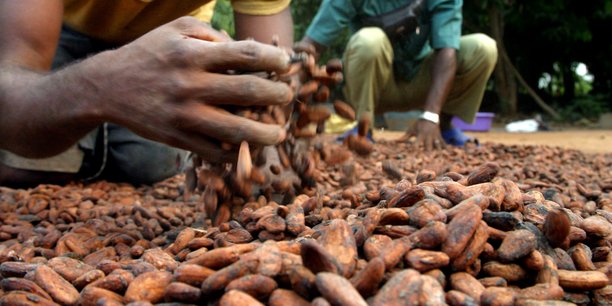 Ghana : la China Eximbank appelée à la rescousse du secteur du cacao